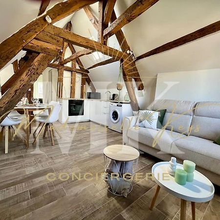 Le Cosy - Hyper Centre Ville Санс Екстер'єр фото