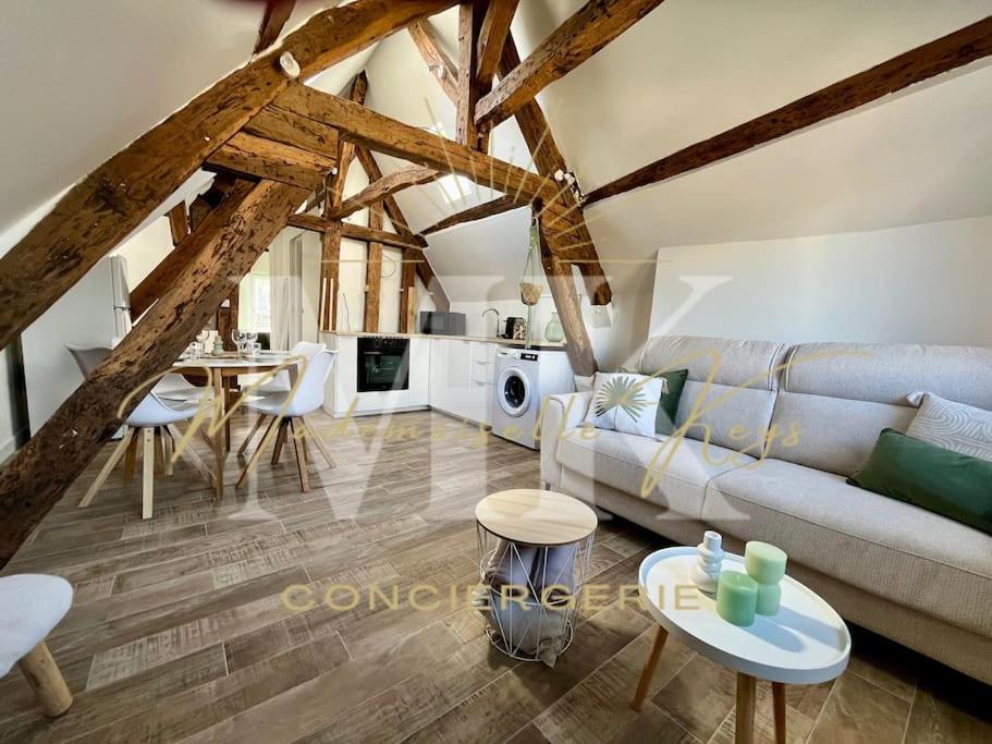 Le Cosy - Hyper Centre Ville Санс Екстер'єр фото